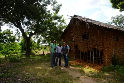 DSC_8694 (Large).JPG